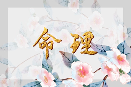 元亨紫薇命盘排盘|紫微命盘八字排盘|紫微盘排盘免费|易百查紫微排盘|八字桃花命盘查询